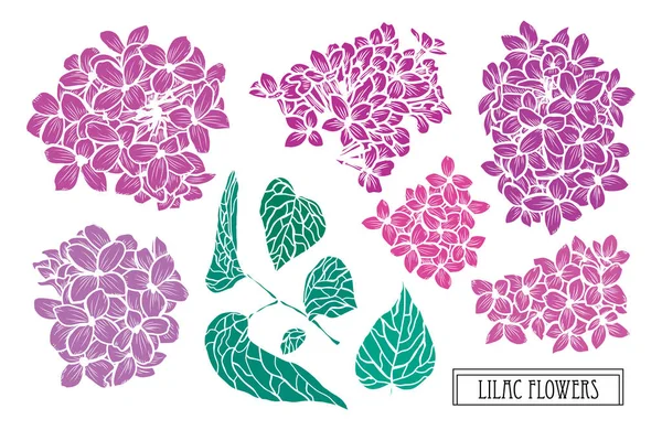 Elle çizilmiş çiçek dekorasyon