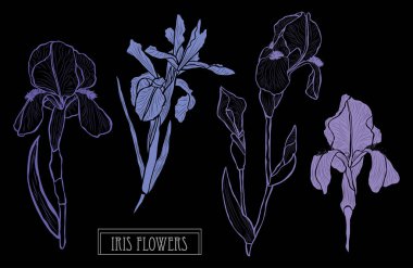 Elle çizilmiş çiçek dekorasyon