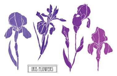 Elle çizilmiş çiçek dekorasyon