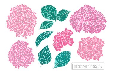 Elle çizilmiş çiçek dekorasyon