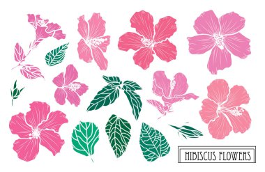 Elle çizilmiş çiçek dekorasyon