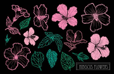 Elle çizilmiş çiçek dekorasyon