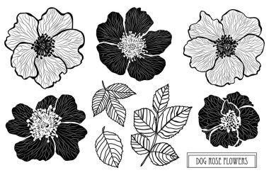 Elle çizilmiş çiçek dekorasyon