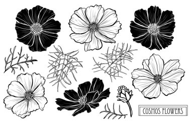 Elle çizilmiş çiçek dekorasyon