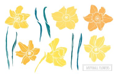 Elle çizilmiş çiçek dekorasyon