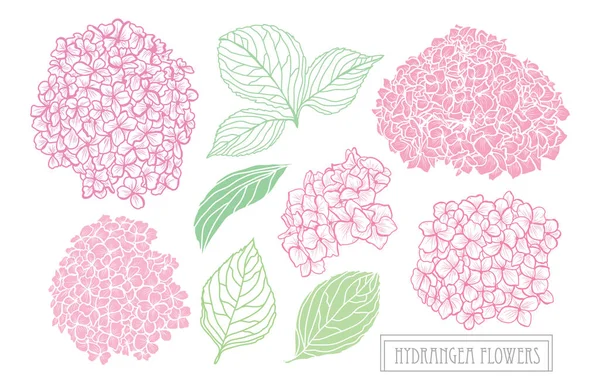 Decoração floral desenhada à mão — Vetor de Stock