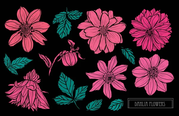 Decoración floral dibujada a mano — Vector de stock