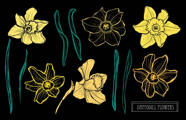 Hand getrokken florale decoratie — Stockvector