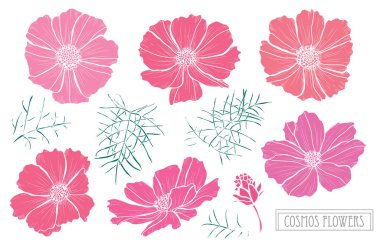 Elle çizilmiş çiçek dekorasyon