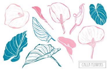 Elle çizilmiş çiçek dekorasyon