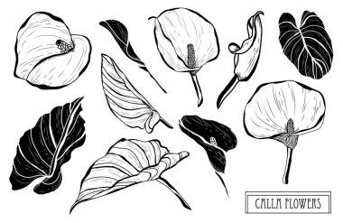 Elle çizilmiş çiçek dekorasyon