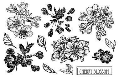 Elle çizilmiş çiçek dekorasyon