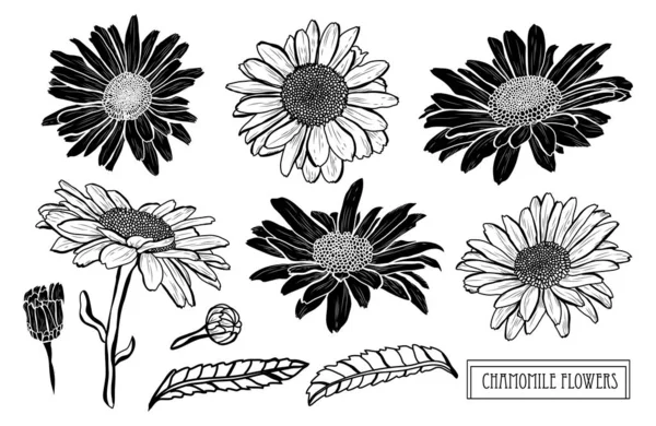 Elle çizilmiş çiçek dekorasyon