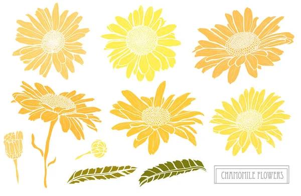 Elle çizilmiş çiçek dekorasyon