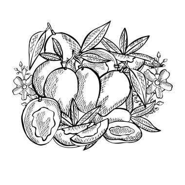 El yapımı meyveler