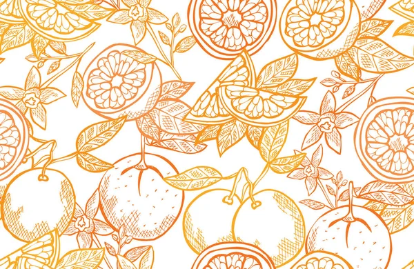 Fruit seamless pattern — Stock Vector