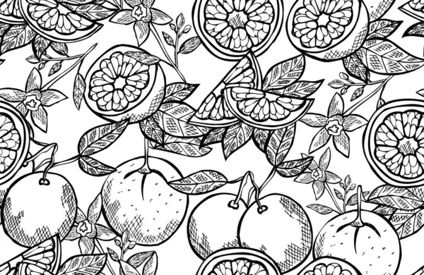 Modèle sans couture de fruits — Image vectorielle