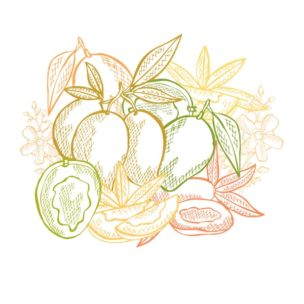 Frutas dibujadas a mano — Vector de stock