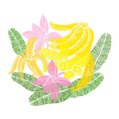 El yapımı muz meyveleri, tasarım elementleri. Kart, davetiye, koleksiyon defteri, baskı ve imalat için kullanılabilir. Yemek, mutfak teması