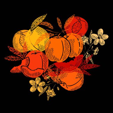 El yapımı şeftali meyveleri, tasarım elementleri. Kart, davetiye, koleksiyon defteri, baskı ve imalat için kullanılabilir. Yemek, mutfak teması