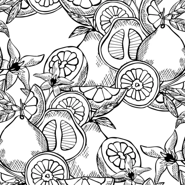 Élégant Motif Sans Couture Avec Des Fruits Pomelo Éléments Conception — Image vectorielle