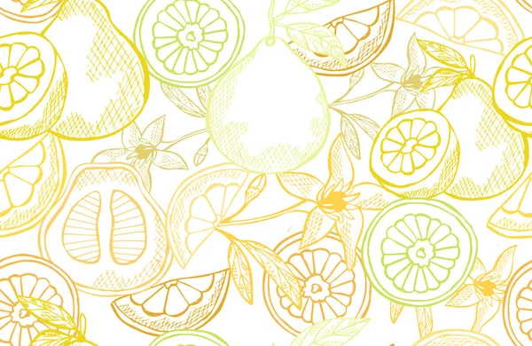 Élégant Motif Sans Couture Avec Des Fruits Pomelo Éléments Conception — Image vectorielle