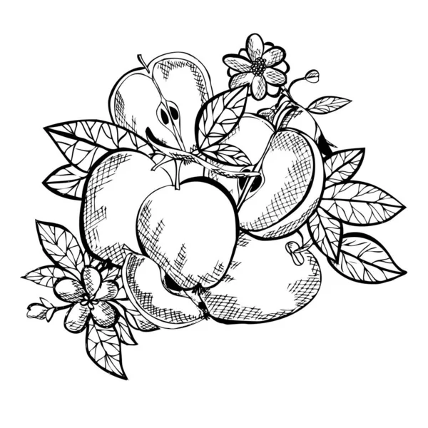 Χειροποίητα Διακοσμητικά Φρούτα Μήλου Σχεδιαστικά Στοιχεία Μπορεί Χρησιμοποιηθεί Για Κάρτες — Διανυσματικό Αρχείο