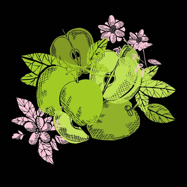 Ručně Kreslené Dekorativní Jablečné Ovoce Designové Prvky Lze Použít Karty — Stockový vektor