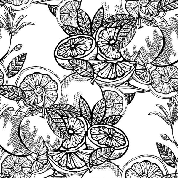 Elegant Seamless Pattern Grapefruits Design Elements Fruit Pattern Invitations Cards — Stock Vector
