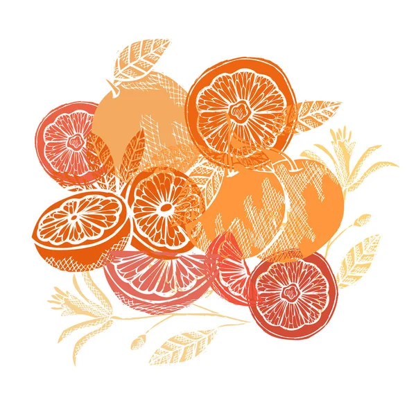 Pomelos Decorativos Dibujados Mano Elementos Diseño Puede Utilizar Para Tarjetas — Vector de stock