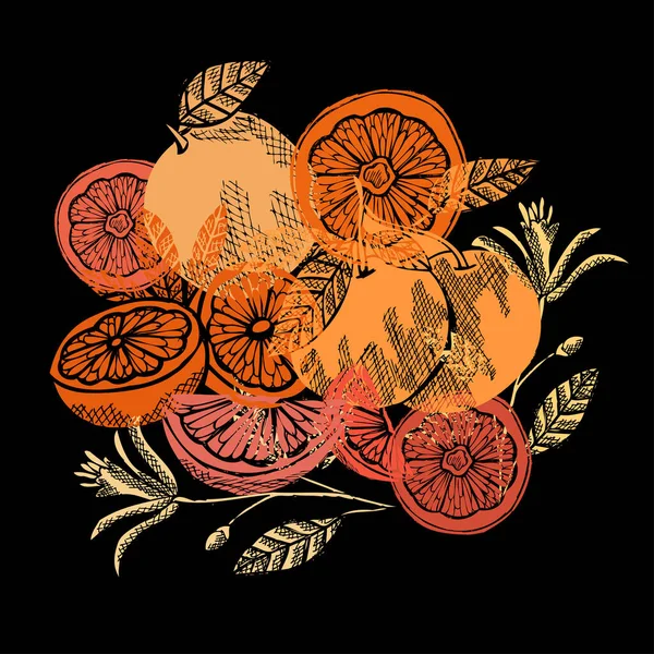 手绘装饰柚子 设计元素 可用于卡片 邀请函 制造等 厨房主题 — 图库矢量图片