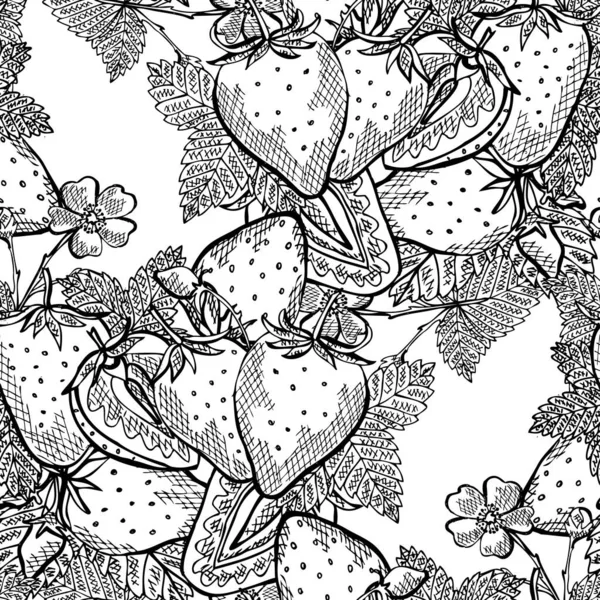 Elegant Naadloos Patroon Met Aardbeienvruchten Design Elementen Fruit Patroon Voor — Stockvector