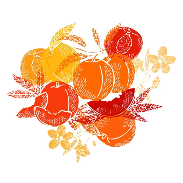 Hand Drawn Decorative Peach Fruits Design Elements Can Used Cards — Stock Vector