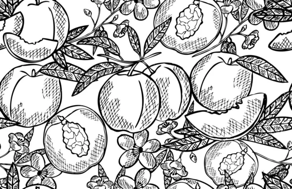 Elegant Naadloos Patroon Met Perzikvruchten Design Elementen Fruit Patroon Voor — Stockvector