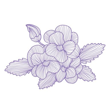 Dekoratif pansy çiçekler, tasarım elemanları. Kartlar, davetiyeler, afişler, posterler, baskı tasarımı için kullanılabilir. Çizgi sanat stilinde çiçek arka plan