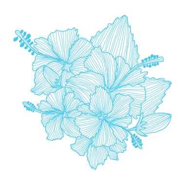 Dekoratif ebegümeci çiçekleri, tasarım elemanları. Kartlar, davetiyeler, afişler, posterler, baskı tasarımı için kullanılabilir. Çizgi sanat stilinde çiçek arka plan