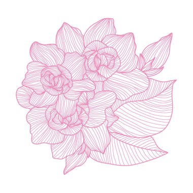 Dekoratif gardenya çiçekleri, tasarım elemanları. Kartlar, davetiyeler, afişler, posterler, baskı tasarımı için kullanılabilir. Çizgi sanat stilinde çiçek arka plan