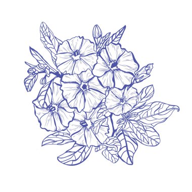 Dekoratif akasma çiçekler, tasarım öğeleri. Tasarımını yazdırma, kartları, davetiyeleri, afişler, posterler için kullanılabilir. Çiçek arka planda satır sanat tarzı