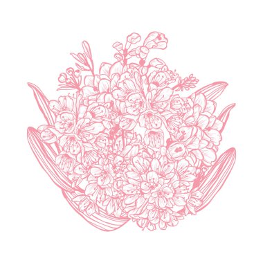 Dekoratif clivia çiçekler, tasarım öğeleri. Tasarımını yazdırma, kartları, davetiyeleri, afişler, posterler için kullanılabilir. Çiçek arka planda satır sanat tarzı