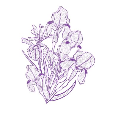 Dekoratif Iris çiçekler, tasarım öğeleri. Tasarımını yazdırma, kartları, davetiyeleri, afişler, posterler için kullanılabilir. Çiçek arka planda satır sanat tarzı