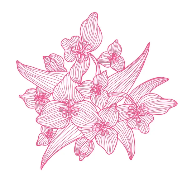 装饰百合花 设计元素 可用于贺卡 平面设计 线条艺术风格的花卉背景 — 图库矢量图片