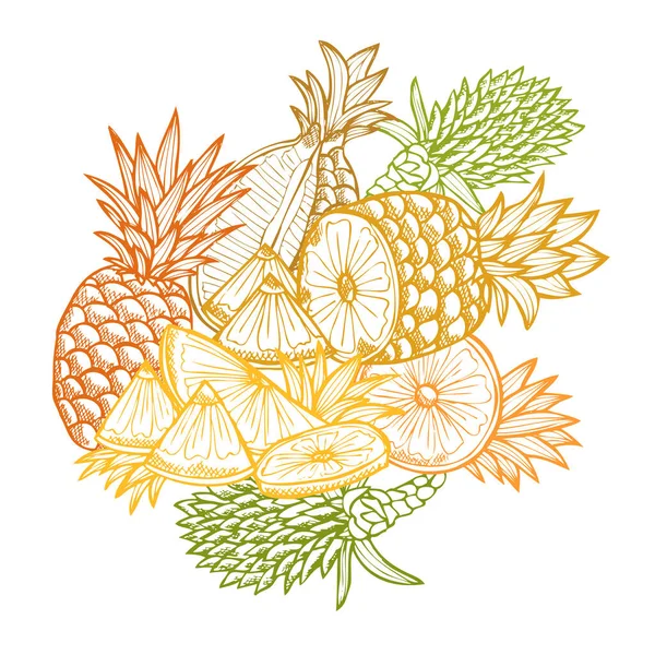 Mão Desenhado Frutas Abacaxi Decorativas Elementos Design Pode Ser Usado —  Vetores de Stock