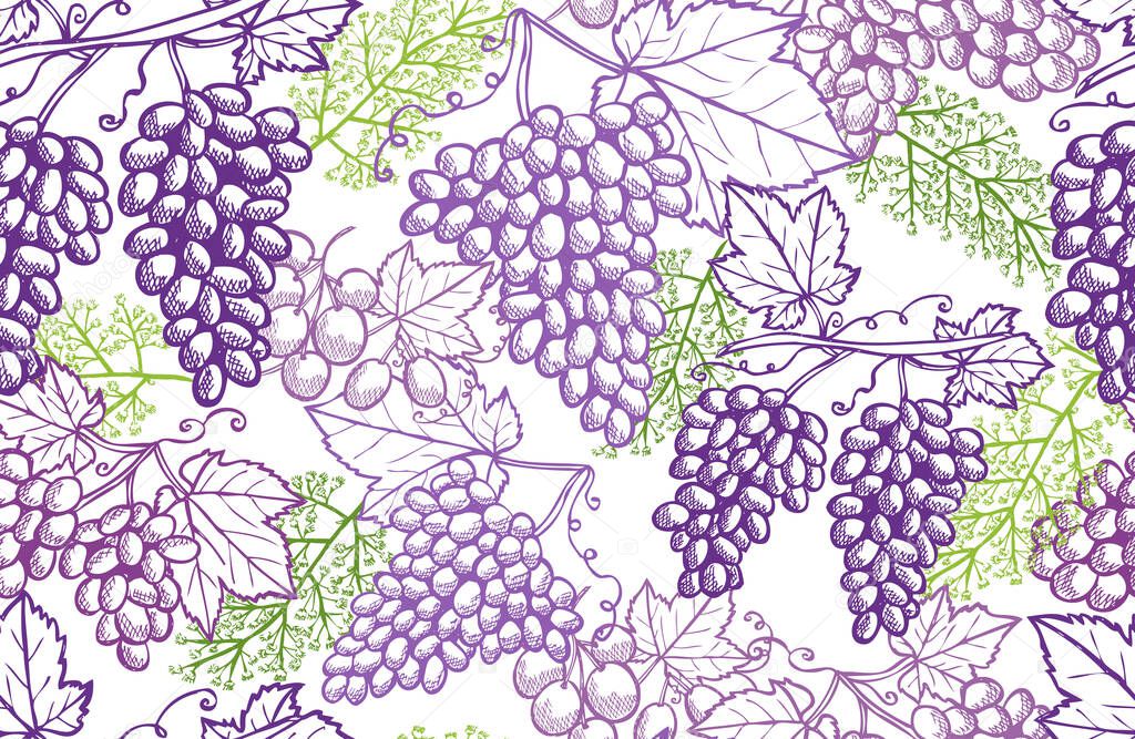Elegant seamless pattern with grapes, design elements. Fruit  pattern for invitations, cards, print, gift wrap, manufacturing, textile, fabric, wallpapers. Food, kitchen, vegetarian theme