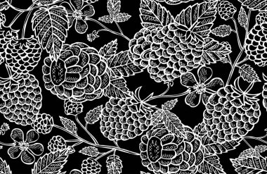 Ahududu meyveli, tasarım elementli zarif ve pürüzsüz bir desen. Davetiyeler için meyve deseni, kartlar, baskı, hediye paketi, imalat, tekstil, kumaş, duvar kağıtları. Yemek, mutfak, vejetaryen teması