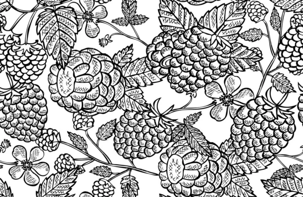 Elegante Naadloze Patroon Met Frambozen Fruit Design Elementen Fruit Patroon — Stockvector