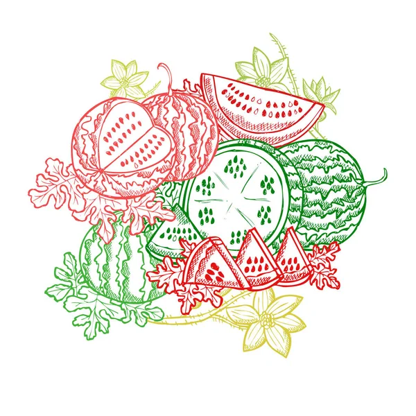 Met Hand Getekende Decoratieve Watermeloen Vruchten Design Elementen Kan Gebruikt — Stockvector