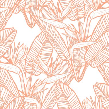 Şık, pürüzsüz desen, strelitzia çiçekleri, tasarım elementleri. Davetiyeler, kartlar, baskı, hediye paketi, imalat, tekstil, kumaş, duvar kağıtları için çiçek deseni