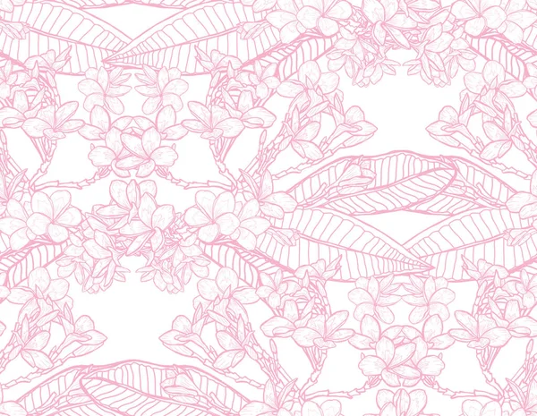 Élégant Motif Sans Couture Avec Des Fleurs Plumeria Des Éléments — Image vectorielle