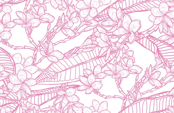 Κομψό Σχέδιο Χωρίς Ραφή Λουλούδια Plumeria Στοιχεία Σχεδιασμού Floral Μοτίβο — Διανυσματικό Αρχείο