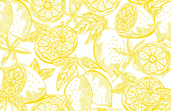 Elegant Seamless Pattern Lemon Fruits Design Elements Fruit Pattern Invitations — Stock Vector